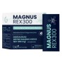 MAGNUS REX 300 Diglicynian Magnezu w proszku 28 saszetek