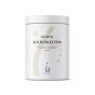 Holistic Solroslecitin lecytyna słonecznikowa 350 g