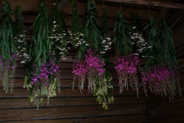 Naręcza suszonych ziół