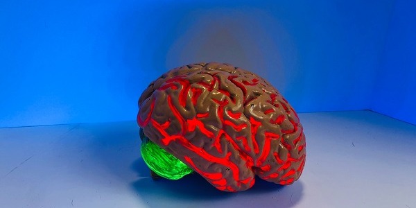 Jak poprawić koncentrację i pamięć u dorosłych?