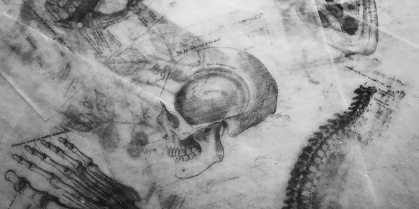 Wapń – znaczenie dla organizmu