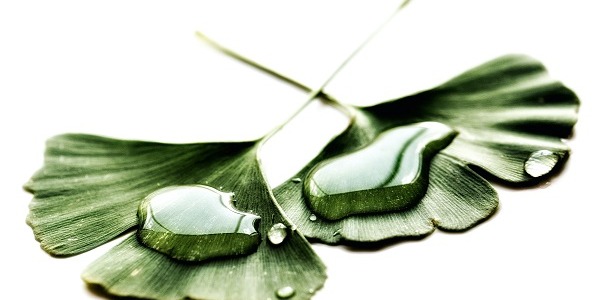 Clean label – szansa na normalność