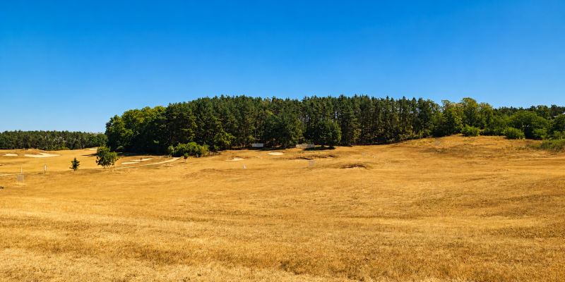 upał na polu golfowym Przytok