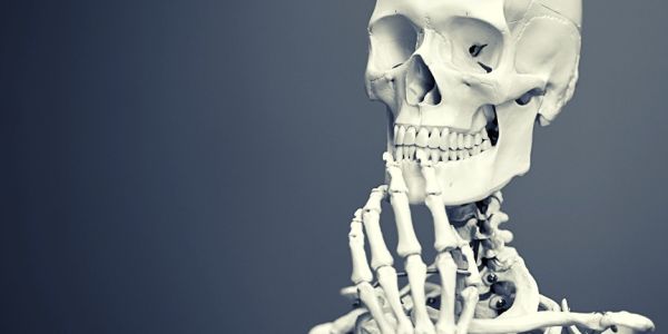 Przez żołądek do… zdrowych zębów, kości i stawów