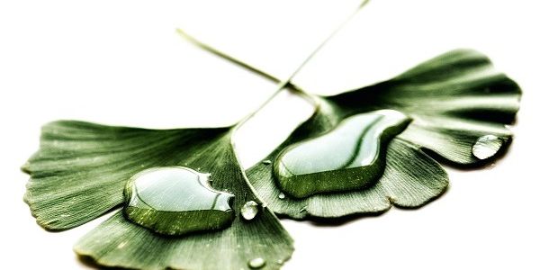 Clean label – szansa na normalność