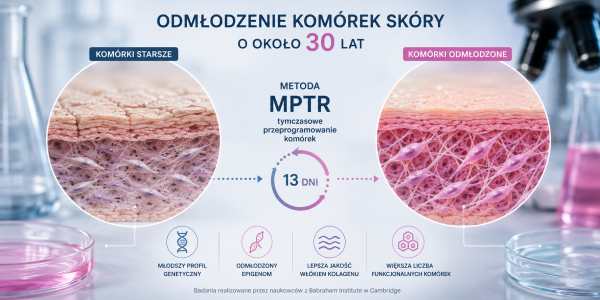 Naukowcy cofnęli biologiczny wiek komórek skóry o około 30 lat