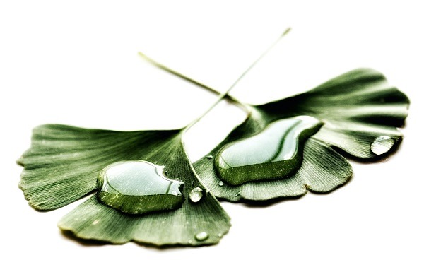 Clean label – szansa na normalność